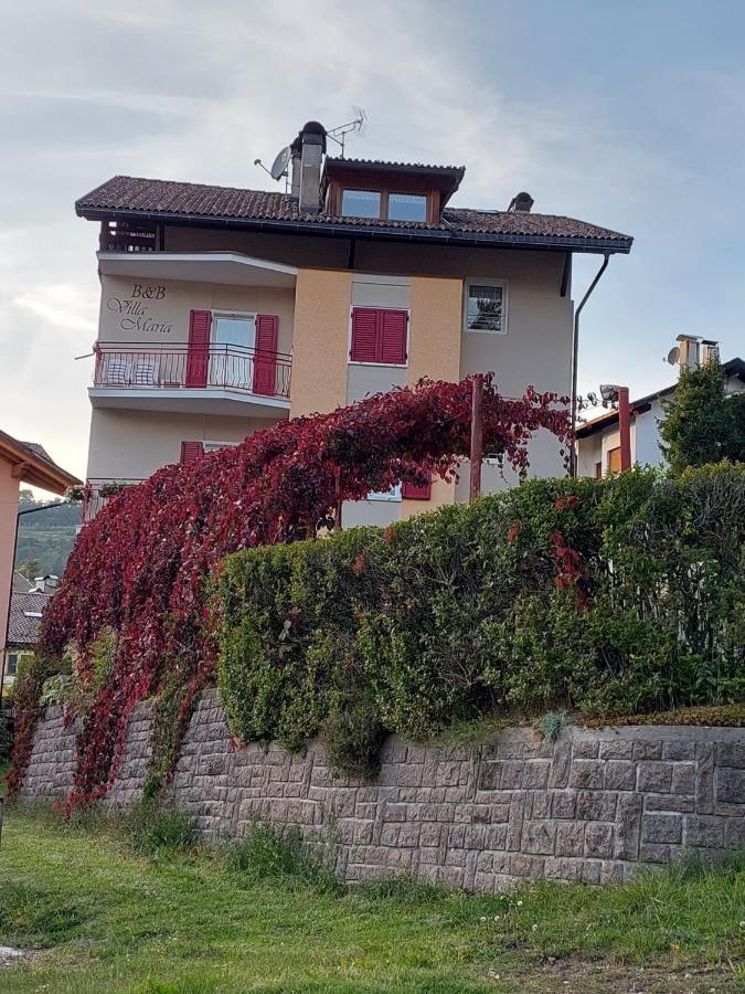 Bed & Breakfast Villa Maria Cavalese Ngoại thất bức ảnh